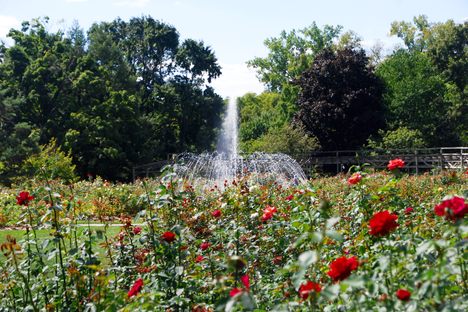 Columbus Park of Roses