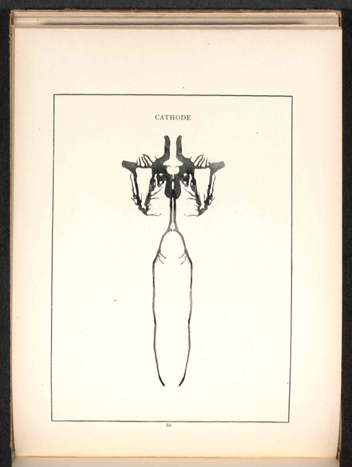 Cathode from <em>Gobolinks</em>.