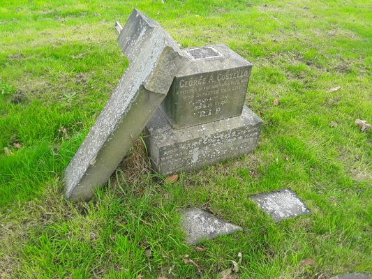 Post image 4