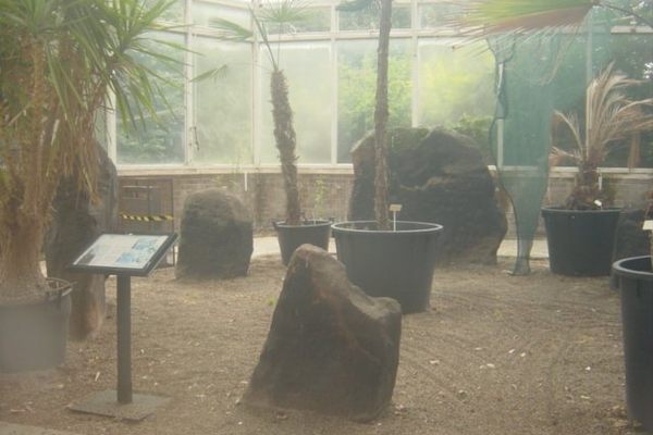 The Calder Stones. (Geograph)