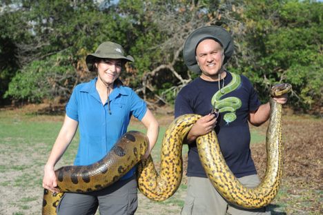 Turns out there's been a whole other species slithering quietly by.