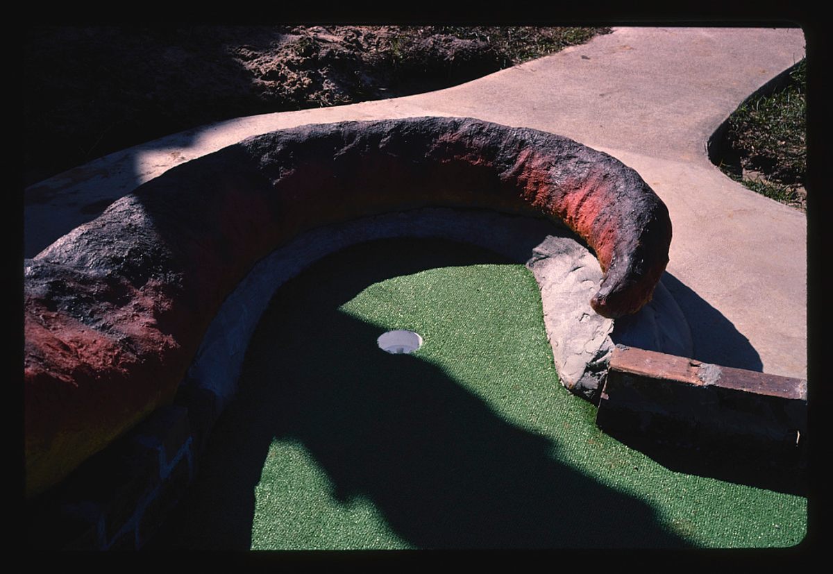 <em>Dinosaur tail, Rainbow Falls Golf</em>, South Carolina, 1988.