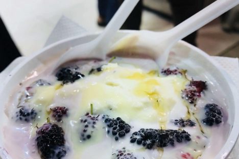 Mulberry Cream Bowl