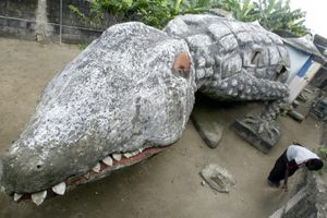 Photo of Ivory Coast