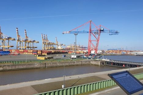 View from the Container Observation Tower