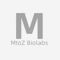 Profile image for mtozbiolabs