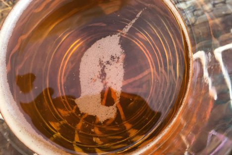 A unicorn in beer.