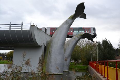 'Saved by a Whale’s Tail'