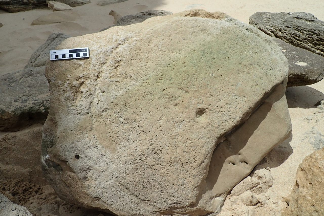 One fossil depicts a near-perfect circle in the sand, with a point in the center.