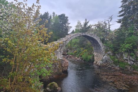 Old Packhorse Bridge