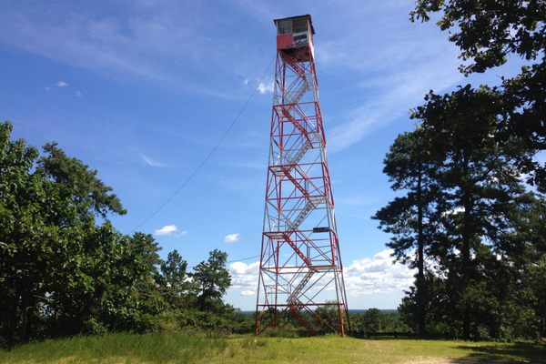 The tower in mid summer