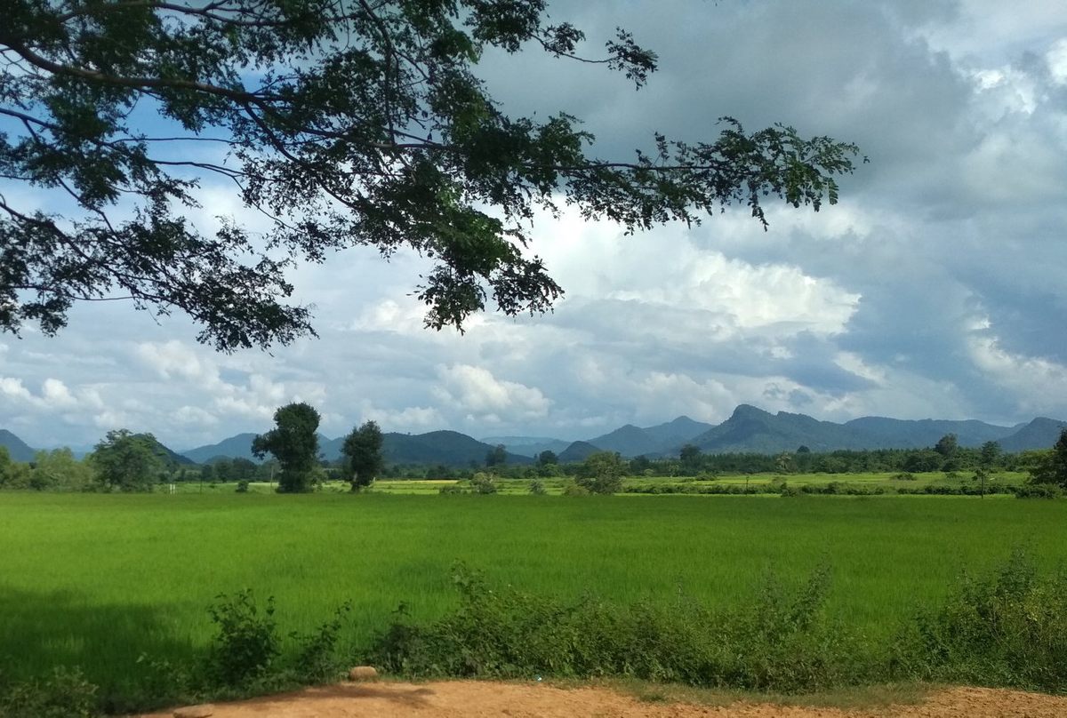 Basudha, located in the village of Kerandiguda, is set against the picturesque Niyamgiri Hills, seen in the distance.
