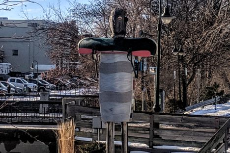 The River Guardian