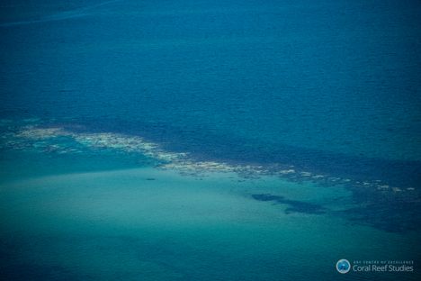 The Worst Bleaching in the History of the Great Barrier Reef