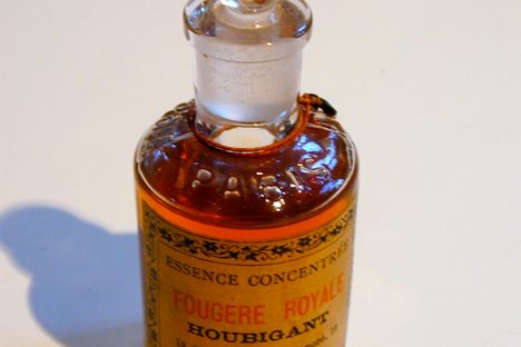 Paul Parquet's Fougère Royale