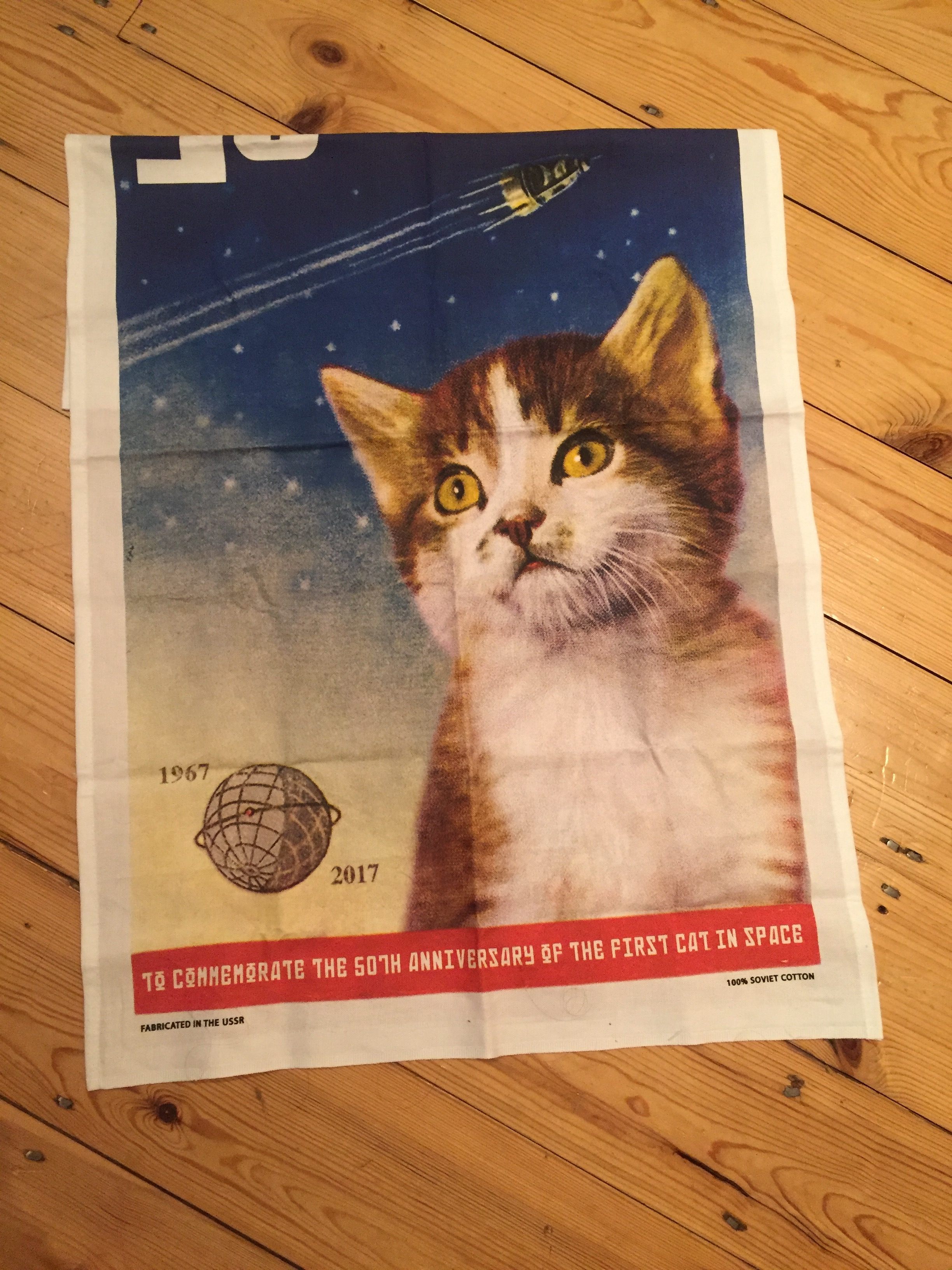Even the commemorative tea towel that started it all has a picture of the wrong cat.