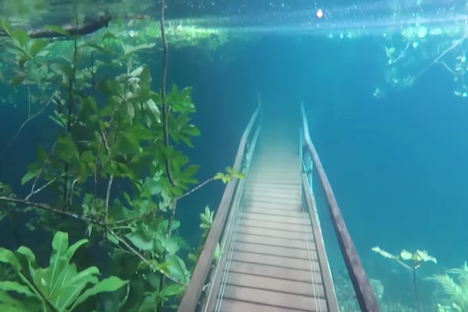 Watch a Trail Guide Take an Eerie Walk Through a Flooded Nature Preserve