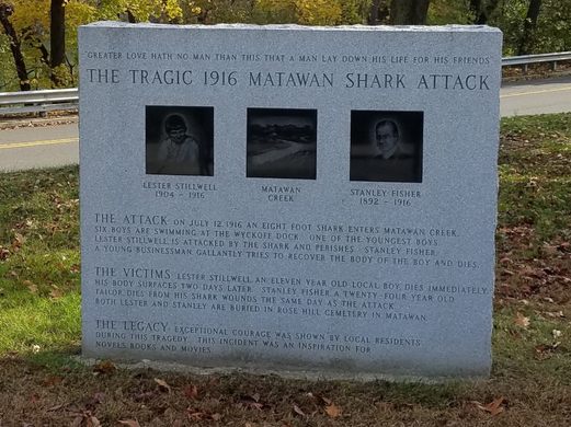 Matawan Man-Eater shark attack in New Jersey kicked off frenzy - The  Washington Post