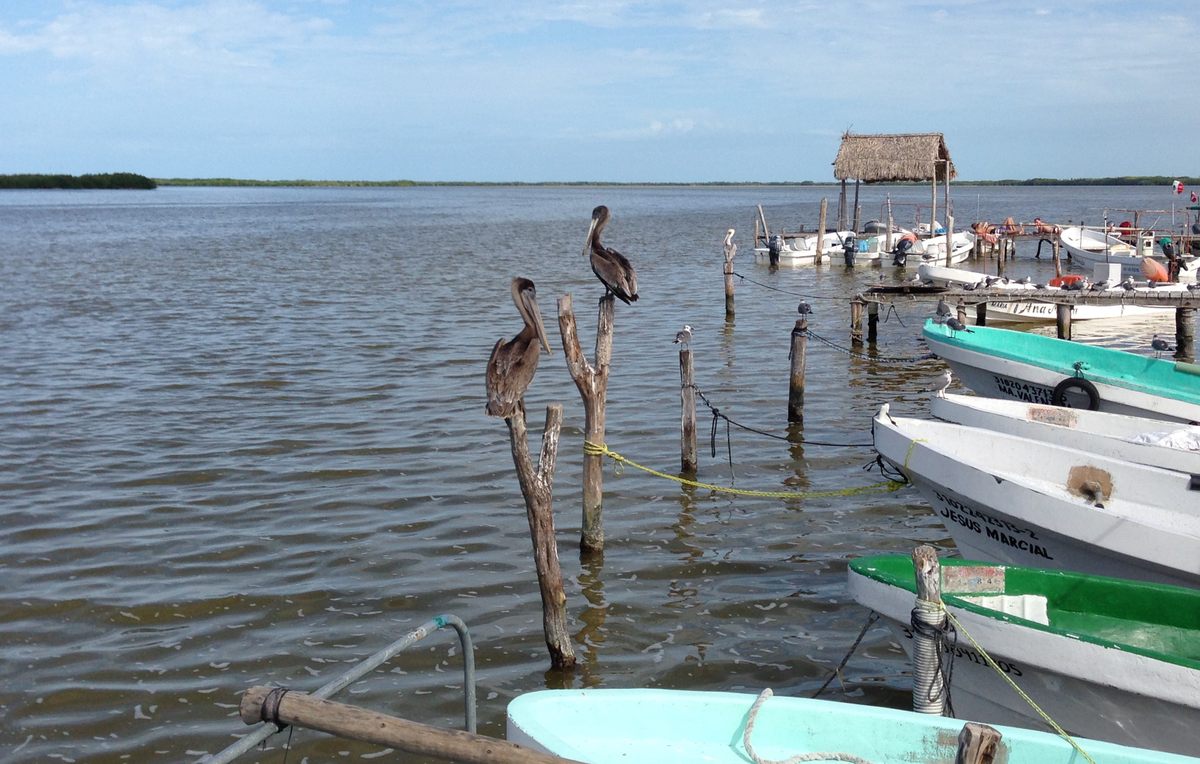 Small fishing boats in an intercoastal waterway near the proposed reserve.