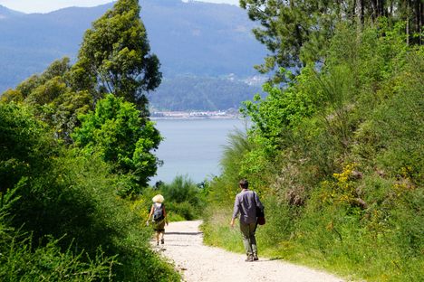 It's Not Hiking: The Patient Practice of Long-Distance Walking