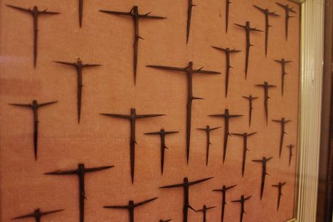 Miraculous thorns.