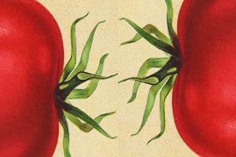 Salesmen promised that tomato pills could cure headaches, diarrhea, and cholera.