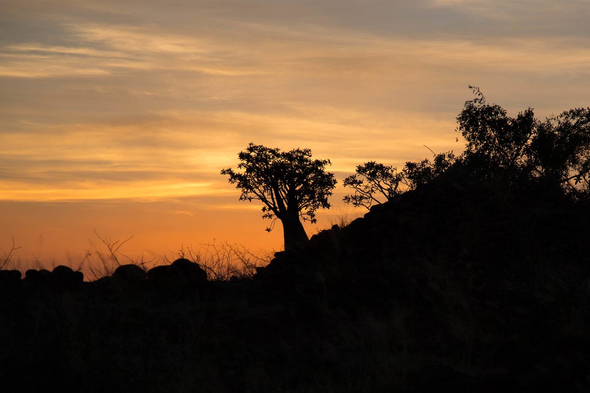 Northern Kenyan sunset: The region has been the center of paleoanthropology for decades, though most researchers and students have traditionally been from the U.S. and Europe.