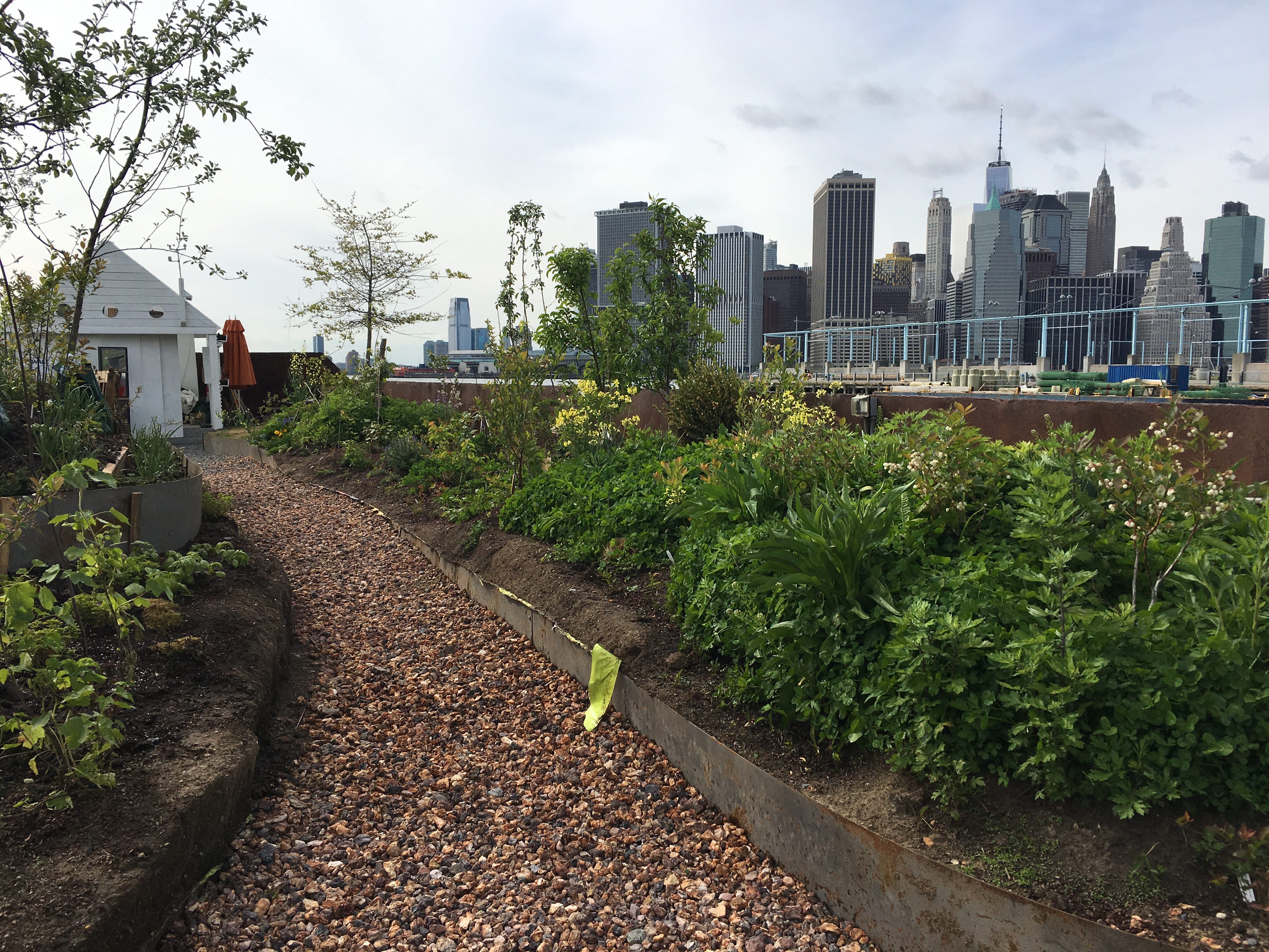 Forage for food with views of the Manhattan skyline.