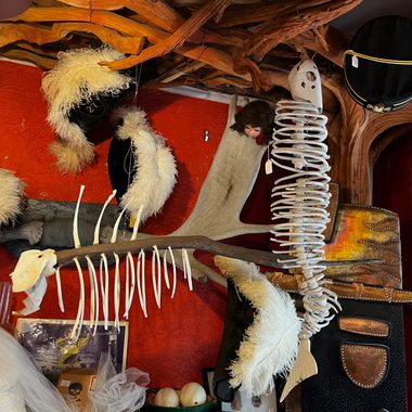 Oddities & Antiques