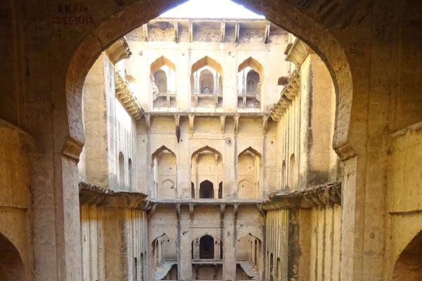 Neemrana baori.