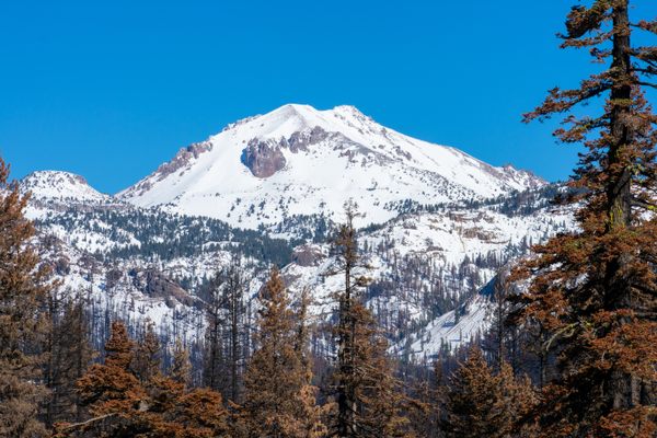 Lassen Peak dusted from a fall snow storm and framed by trees affected by the 2021 Dixie Fire.
