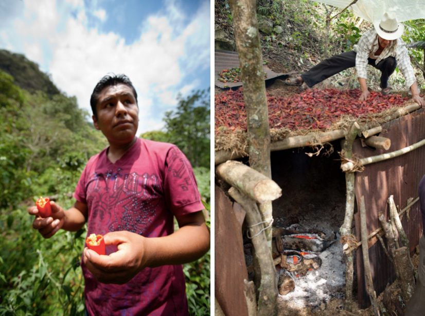 From left: Julián Isidro in the chile fields and Isidro's father above a "smoking cave."