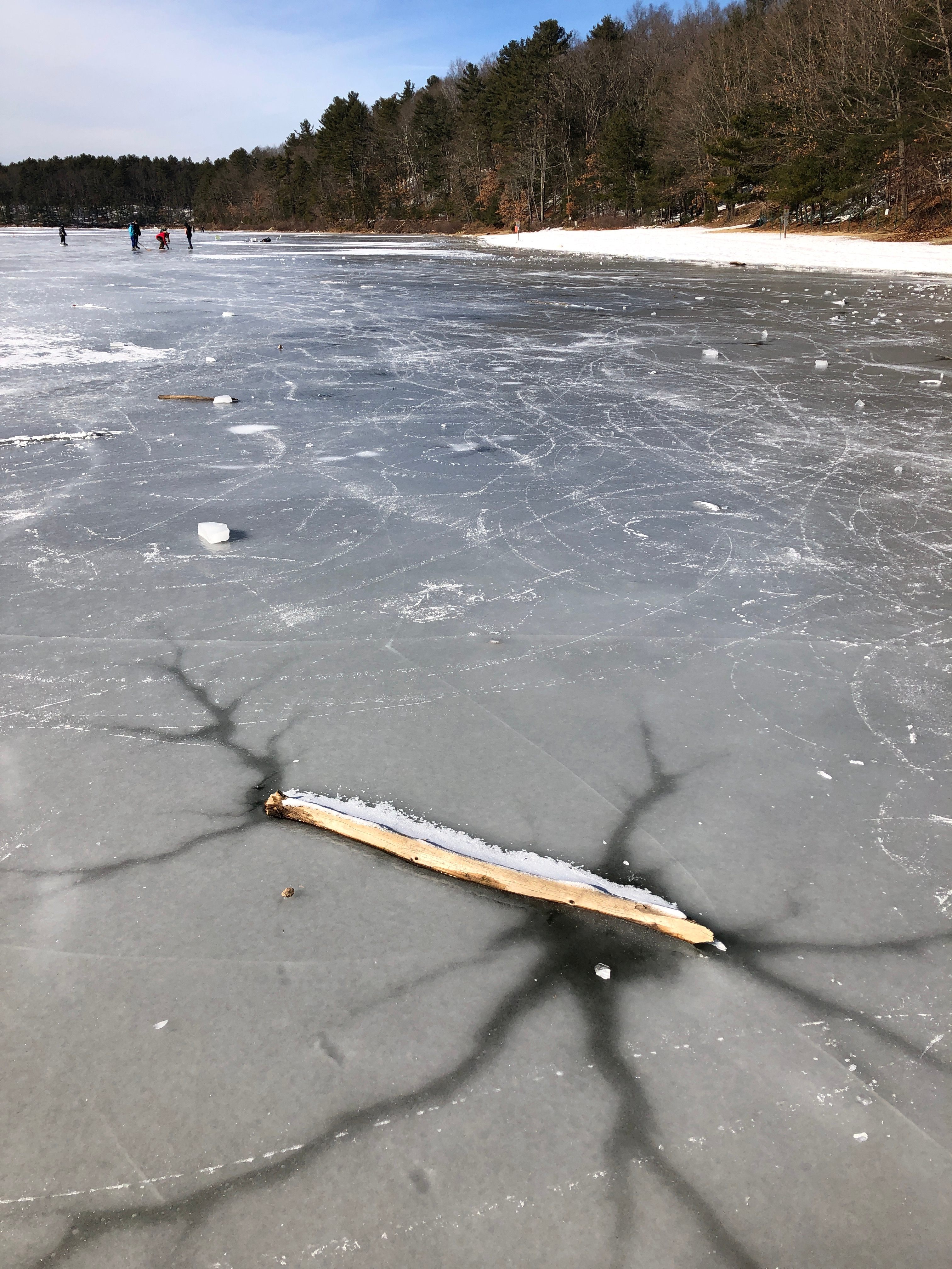 Sometimes, the "lake stars" form around logs, rocks, or other things that enter the water. This one appeared on Walden Pond in January 2021.