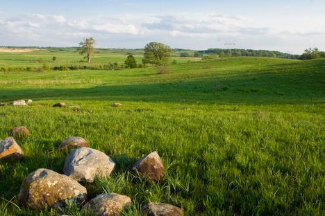 This 4,000-acre restored grassland is one of the largest and most biologically diverse grasslands in Illinois.