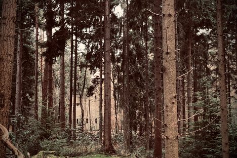 Wolfsdreuvik