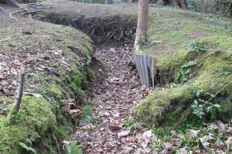 World War I Training Trenches