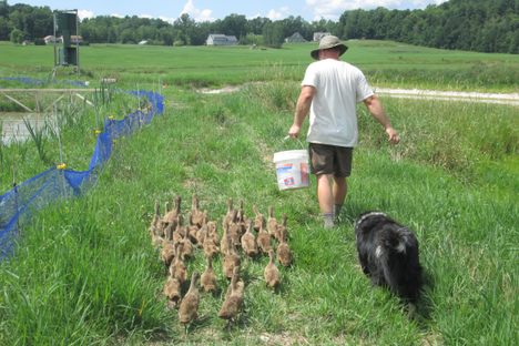 Andrus, with his farmhands.