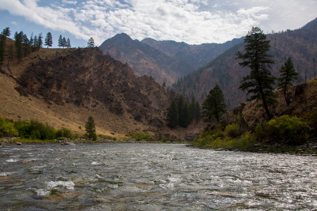 Rafting is a common way to travel the Middle Fork of the Salmon River in the Salmon-Challis National Forest.
