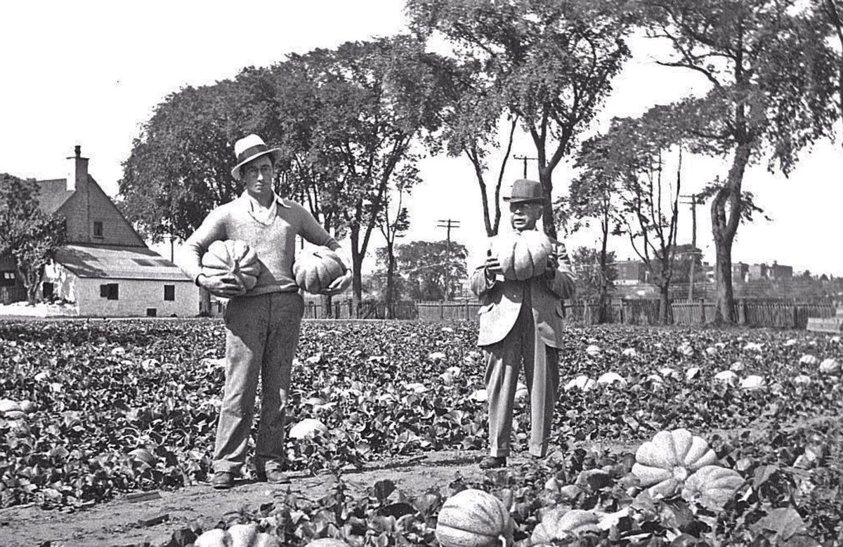 A man and an inspector from the Ministry of Agriculture hold Montreal melons on land that is now the residential neighborhood of Notre-Dame-de-Grâce (1925).