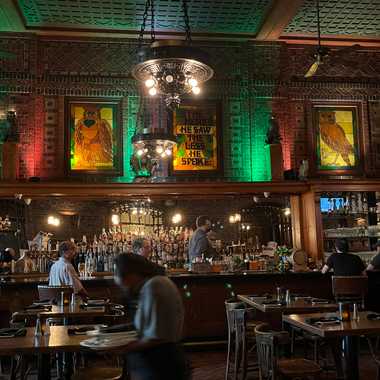 Owls still keep watch over the bar.
