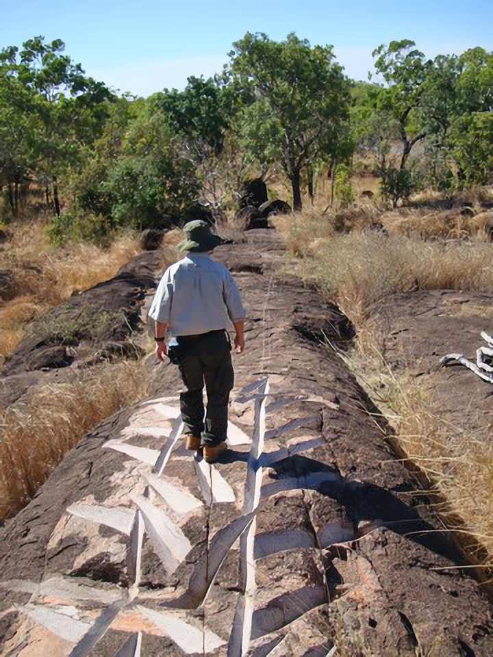 Mitsuaki Tanabe himself, walking along the still-incomplete “Momi-2010."