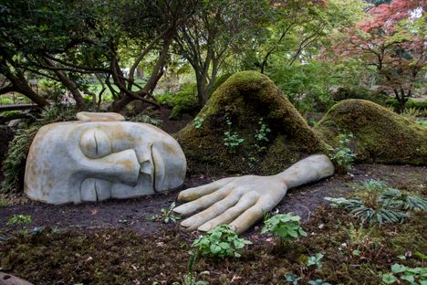 The Moss Lady.