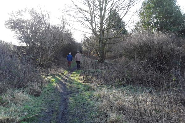 The part of the Etherley Incline which runs in a cutting