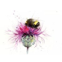 Profile image for crystalshipp