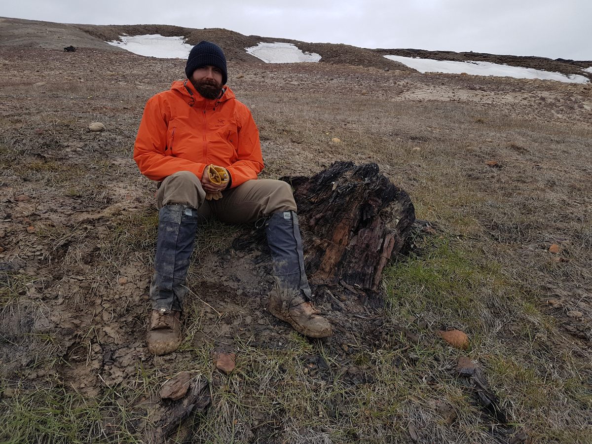 Christopher West and a fossil <em>Metasequoia</em> tree stump on Ellesmere Island.