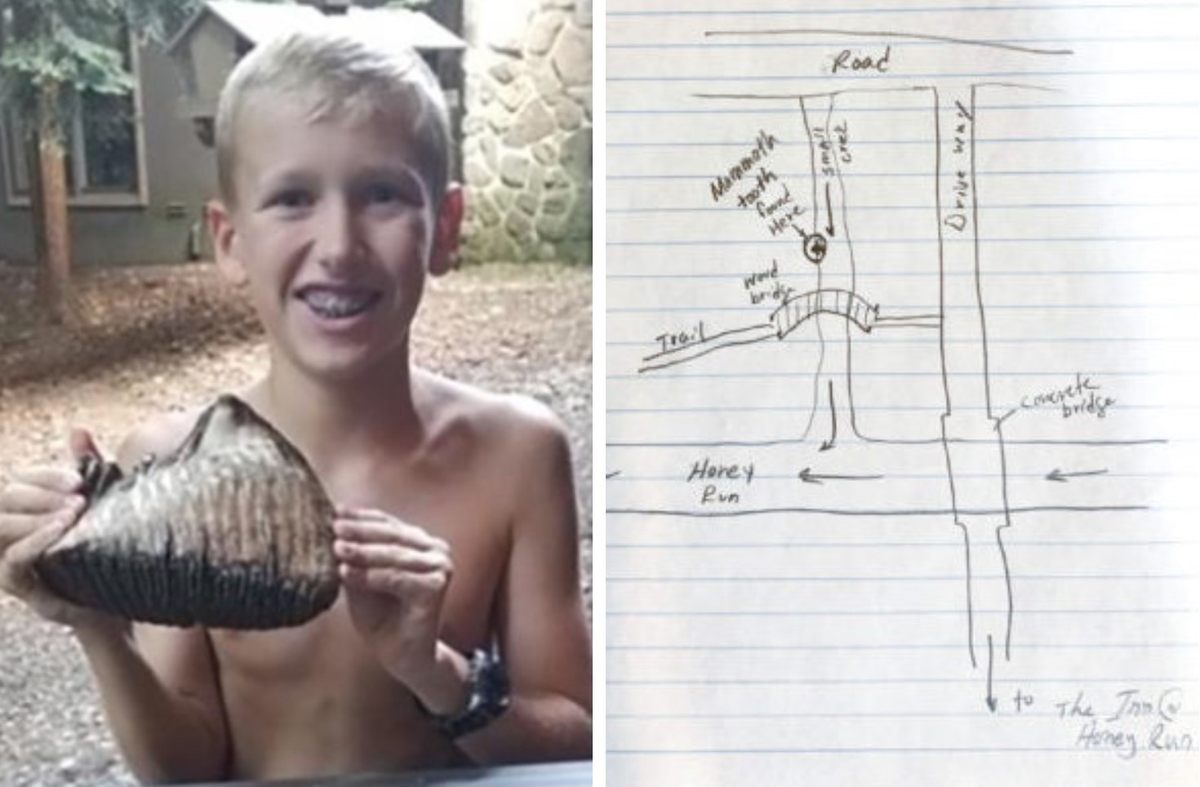 Jackson Hepner found a mammoth tooth, then retraced his steps.