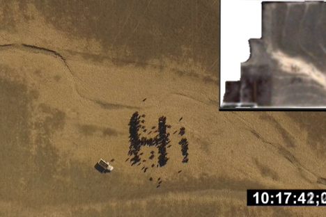 A drone's-eye view of the cows' message, with an inset of the resulting satellite photo.