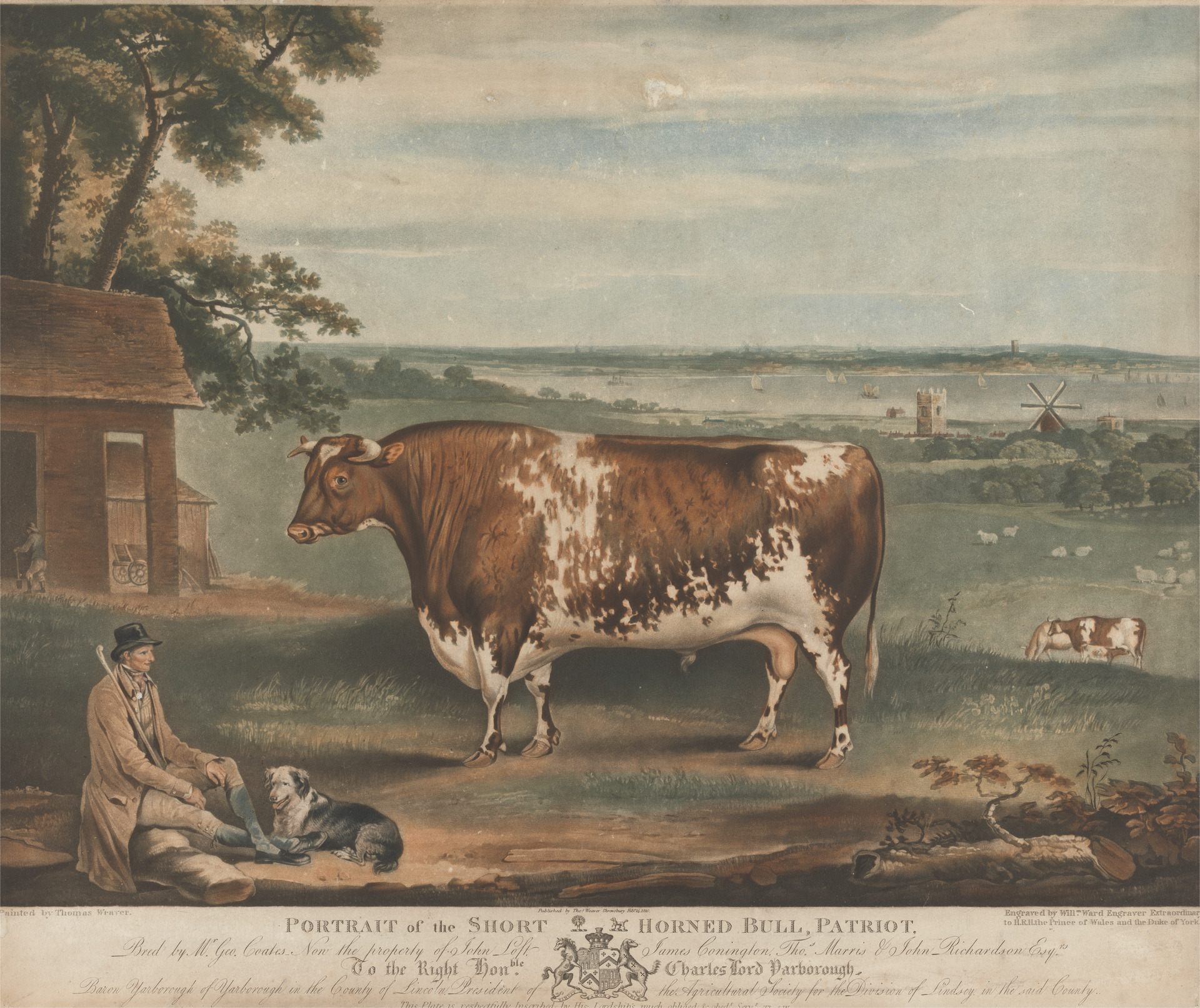 In 19th-Century Britain, The Hottest Status Symbol Was a Painting of Your  Cow - Gastro Obscura