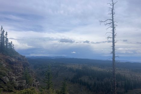 Views from the Crag Crest Trail