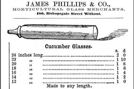 An advertisement for customizable cucumber glasses.